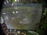image of grave number 814700